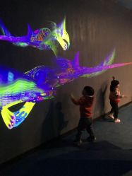 -酷嗒动物文化乐园(cutezoo西溪乐天城店)