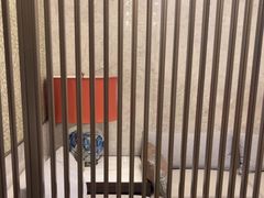 -艺水间水汇