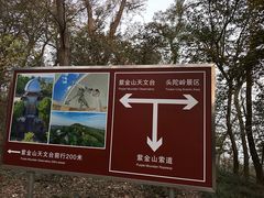 -紫金山山顶公园