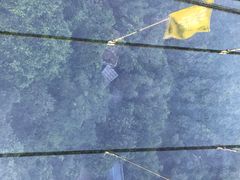 -四会奇石河风景区
