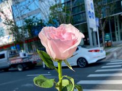-壹点壹客·生日蛋糕(南山店)