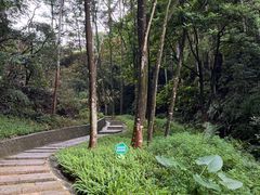 -黄埔油麻山森林公园