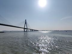 -芒洲湿地公园