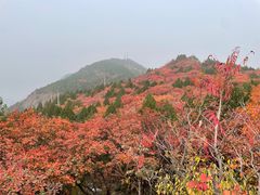 -府君山公园