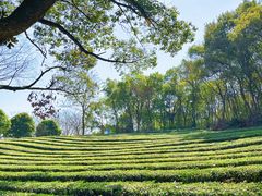 -敬亭山风景名胜区
