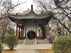 -迎泽公园