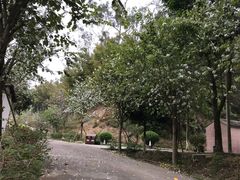 -田心森林公园