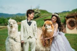 -钟爱一生婚纱摄影旗舰店