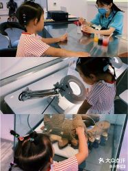 -恐龙探索乐园(磁器口店)