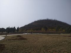 -洛阳古墓博物馆