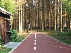 -黄海国家森林公园