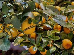 -三旗百汇商品城