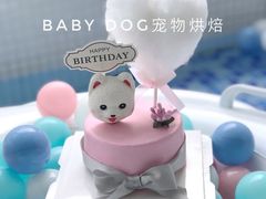 宠物蛋糕-BABYDOG宝贝狗宠物乐园(欧洲城店)