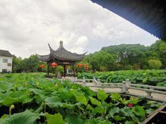 -丝绸小镇荻港古村