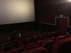 -红星电影世界开元地中海店(RealD杜比全景声)