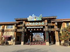 -南宫五洲植物乐园