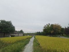 -北坞公园