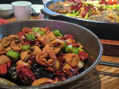 -老板恋上鱼(恒隆广场店)