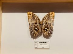 -四川宋瓷博物馆