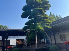 -杭州西子湖四季酒店-WL BISTRO西湖餐厅(灵隐路店)