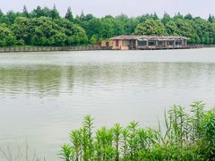 -上海海湾国家森林公园