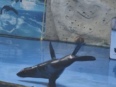 -泉州海丝野生动物世界