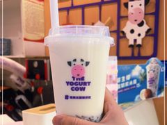 -一只酸奶牛(八一路店)