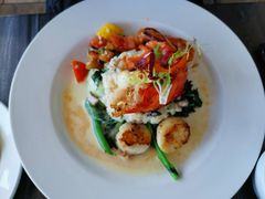 -Fish Hopper
