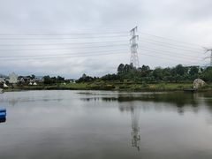 -紫颐香薰山谷景区