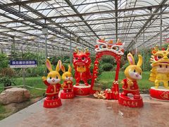 -九天休闲谷