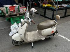 -雅迪电动车(和平区旗舰店)