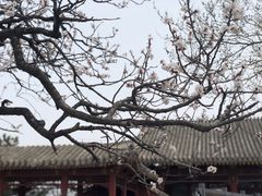 -香山公园