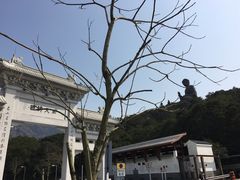 -天坛大佛