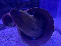 -上海海昌海洋公园