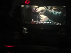 -枫花园汽车电影院(朝阳公园店)