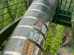 -黄海国家森林公园