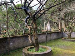 -溪口商量岗景区