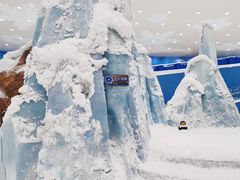 -湘江欢乐城欢乐雪域