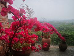 -远山有窑