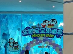 -帝企鹅自助餐厅•儿童岛•真企鹅(长隆企鹅酒店)