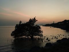 -深圳湾公园(南山区)