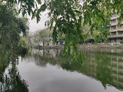 -黄埔古港