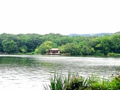 -紫霞湖公园