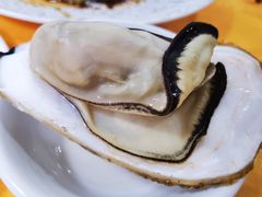 生蚝-蚝专家(北滘店)