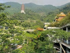 -深圳仙湖植物园