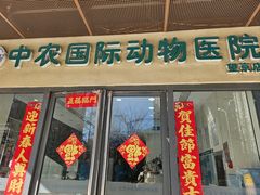 -中农国际动物医院24小时·猫科·骨科·急重症中心