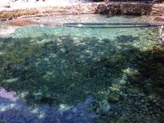 iphone_upload_pic-神农架香溪源景区