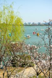 -玄武湖景区-情侣园游乐场