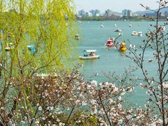 -玄武湖景区-情侣园游乐场