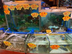 -朱仔记食府(江南大道店)